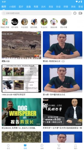 猛犬俱乐部2025官方最新版下载4