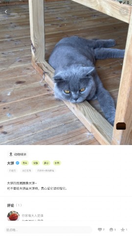 附近有喵app官方最新版下载1