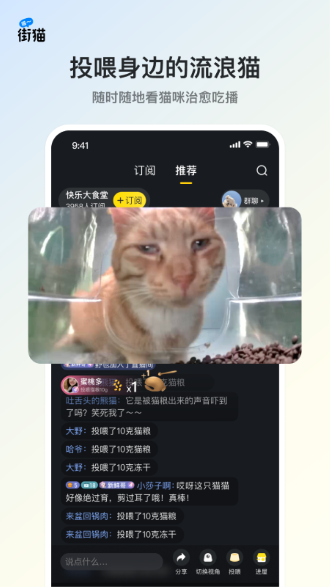 街猫app最新版本1