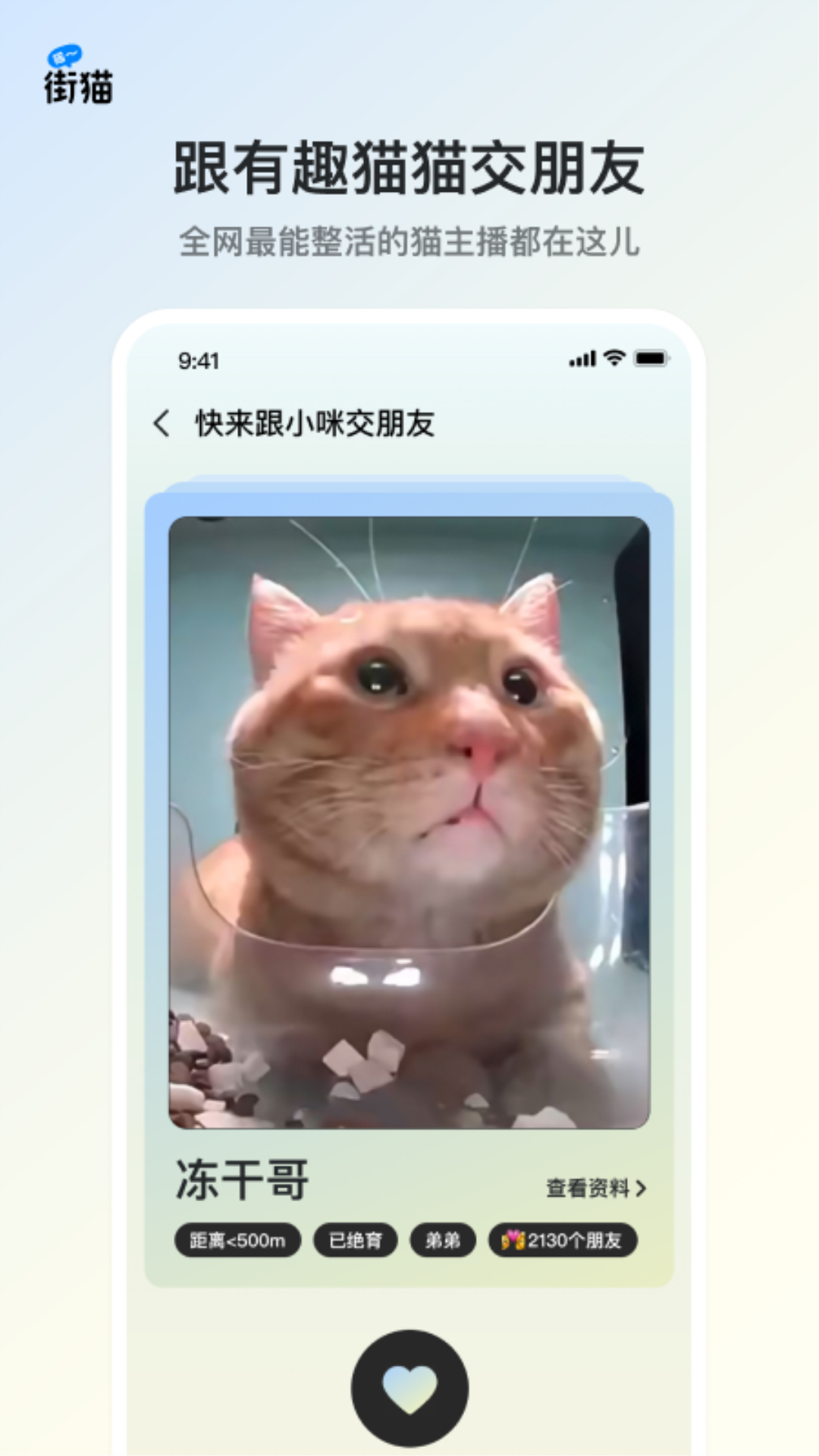 街猫app最新版本2