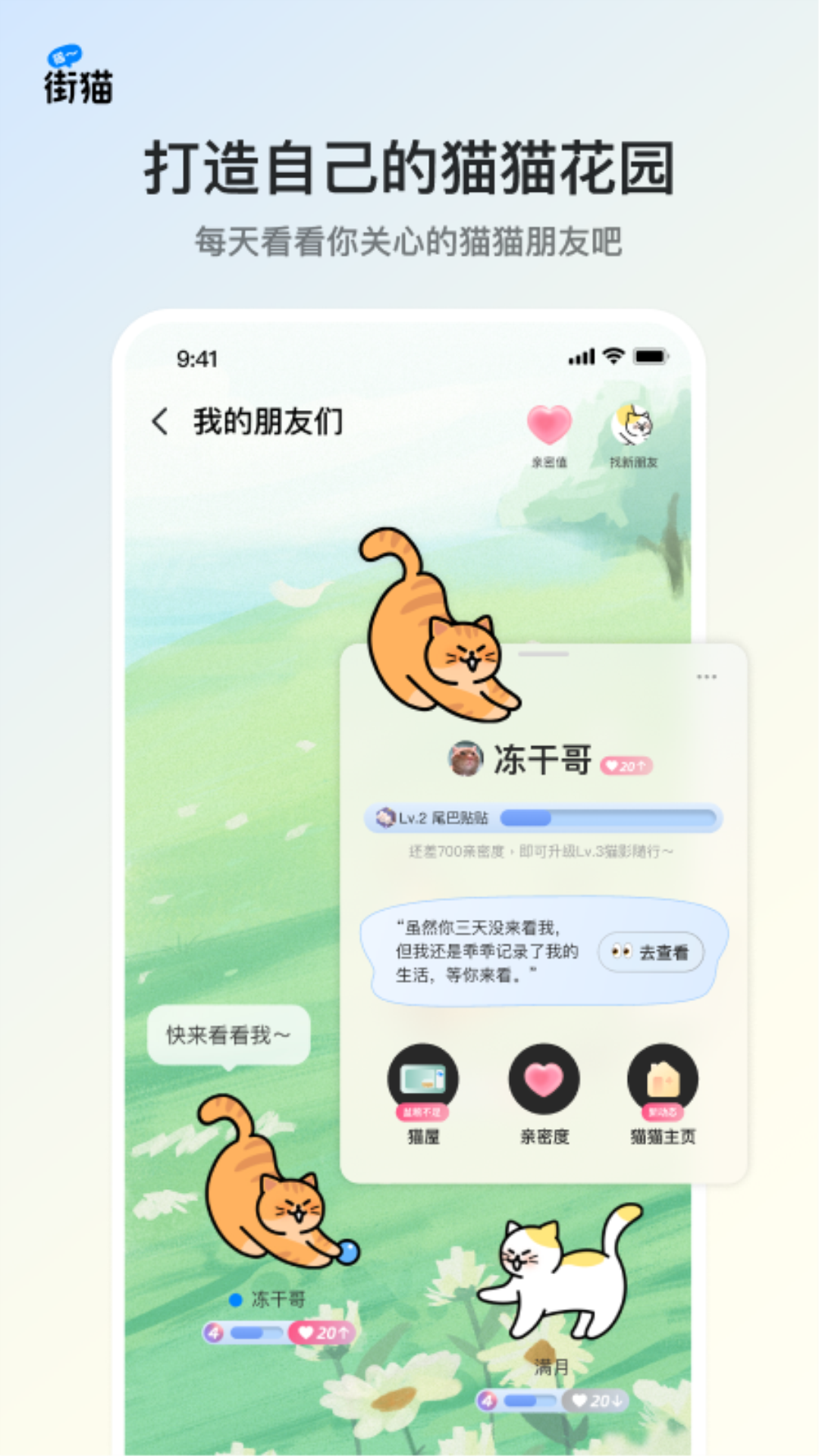 街猫app最新版本3