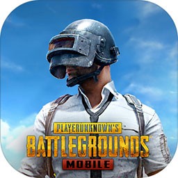 pubg国际服官方正版下载