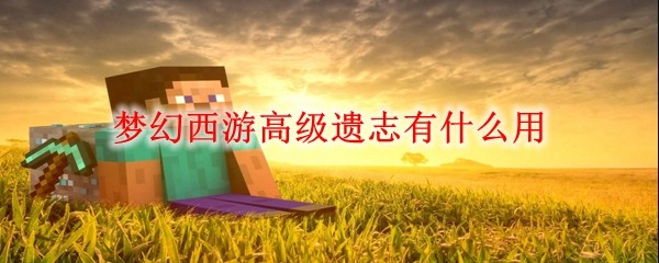 梦幻高级遗志有什么用