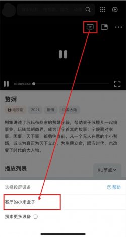 河狸影视官方正版