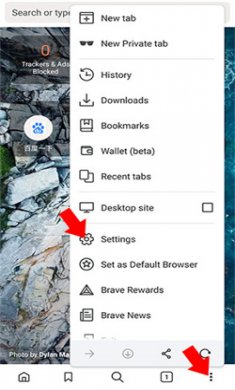 Brave浏览器安卓下载1
