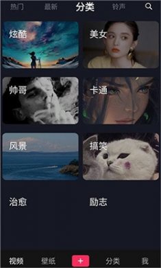 灵猫壁纸大全手机版下载3