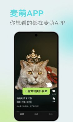 麦萌短剧app官方最新版本优势下载1