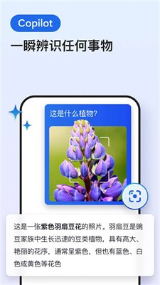 Edge浏览器官方正版下载1