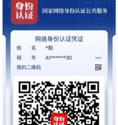 国家网络身份认证下载
