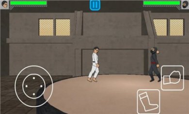 物理格斗战士游戏下载4