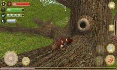 松鼠模拟器2无限金币版下载2