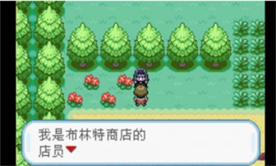 口袋妖怪火红随机版下载手机版2