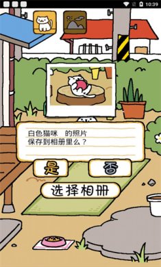猫咪后院官方版下载2