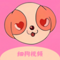 细狗视频编辑最新版下载