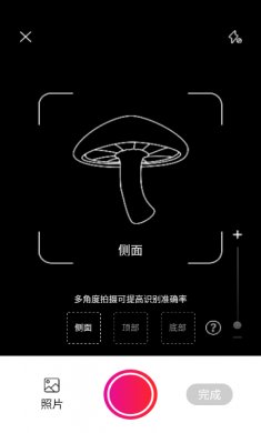Picture Mushroom app下载最新版2