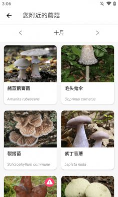 Picture Mushroom app下载最新版4