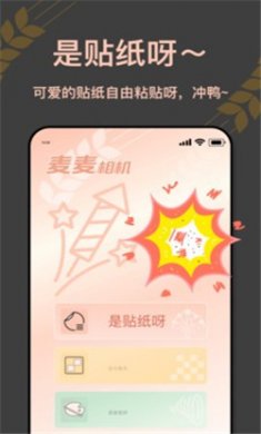 麦麦相机app下载1