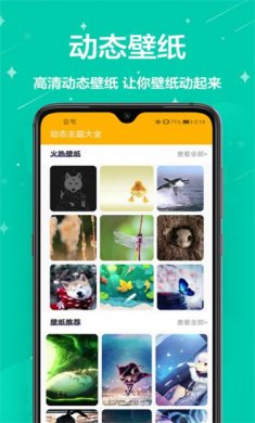 熊猫手机壁纸官方版下载1