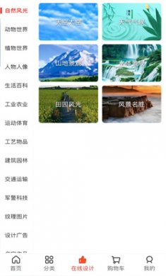 图王网app下载4