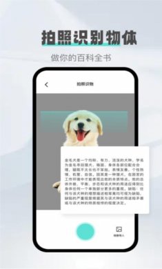 口袋扫描精灵安卓版下载5