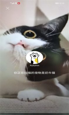 握爪app免费下载4