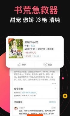 维阅小说官网版下载