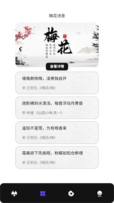 飞星优化大师最新版1