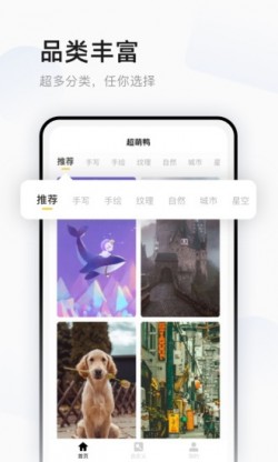 超萌鸭壁纸安卓免费下载
