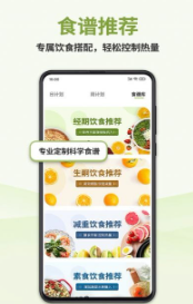 懒人轻断食中文版下载1