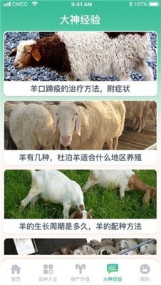养羊指南app下载2