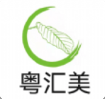 粤汇美中文版下载