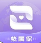 紫属保正式版下载