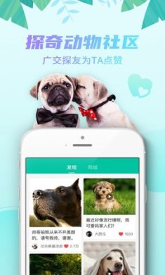 探奇动物界安卓版下载3