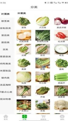 澧溪生活app下载2