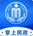 掌上民政安卓版下载