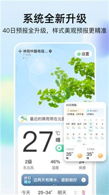 竹雨天气app下载2