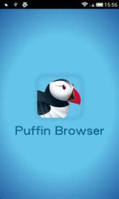 puffin浏览器2025最新手机版下载3