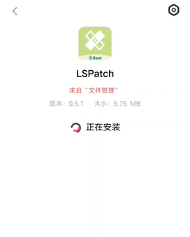 lspatch安卓版下载4