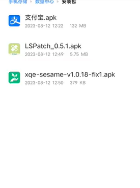 lspatch安卓版下载2