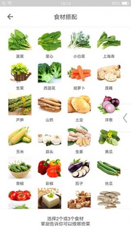 掌厨app下载手机3