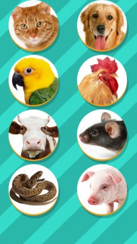 宠物对话翻译器app2025最新版本免费下载2