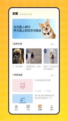 狗语翻译器在线翻译免费1