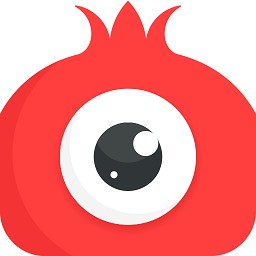 石榴直播间下载安装最新版