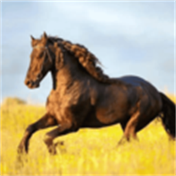 你的电视TV最新版 v1.9.0