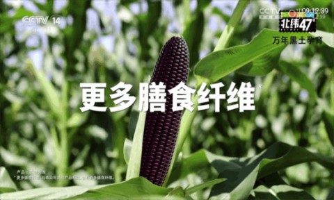 秋水tv盒子版最新版本下载1