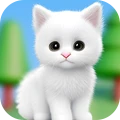 神守迷屋的猫手机版