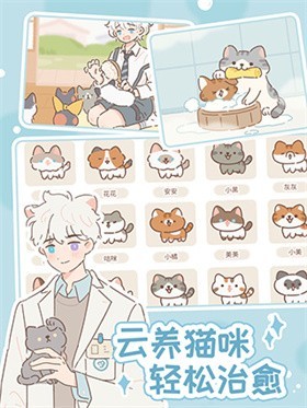 Purrfect Tale最新官方版2