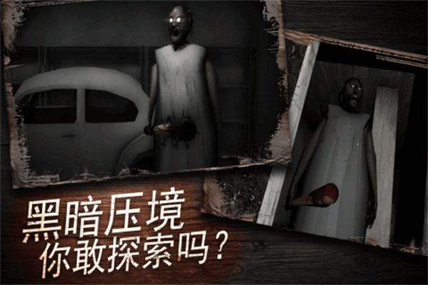 奶奶别追我安卓版4