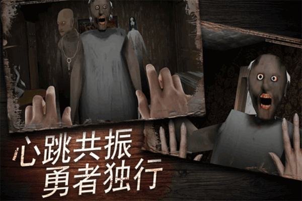 奶奶别追我安卓版3