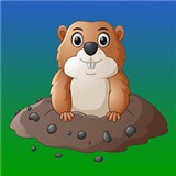 土拨求知手机版